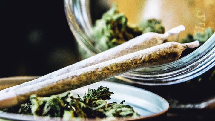 Viva la Cannabis? Not so Fast