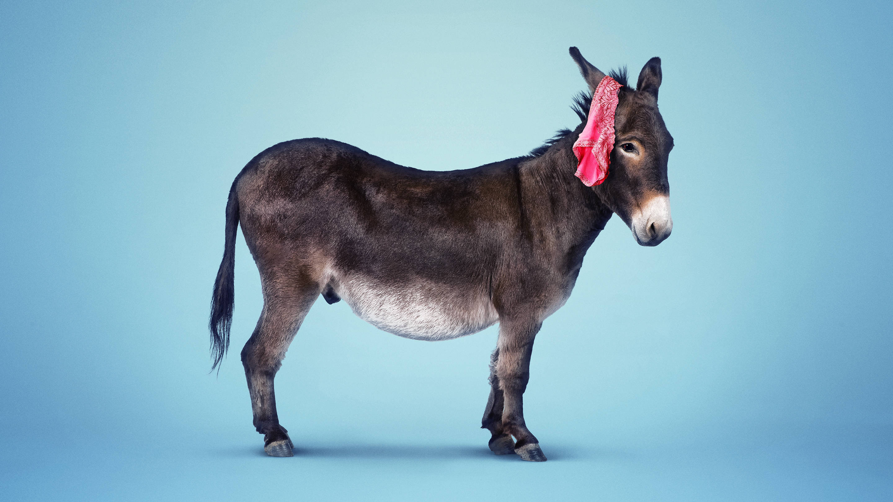 Democratic sex scandals