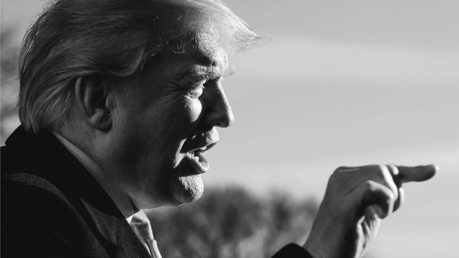 Drowning In a Swamp at the Border