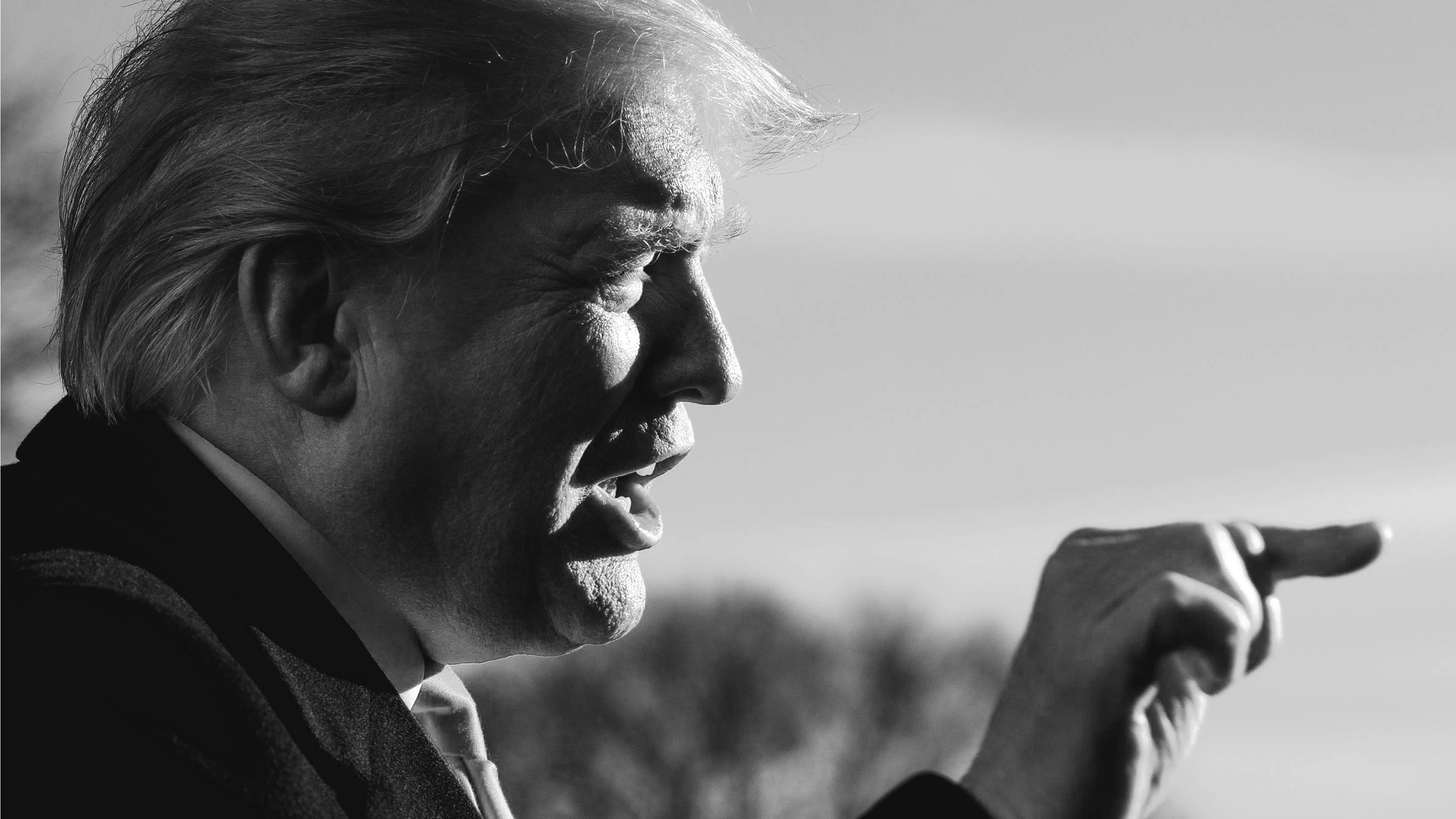 Donald Trump Border Wall