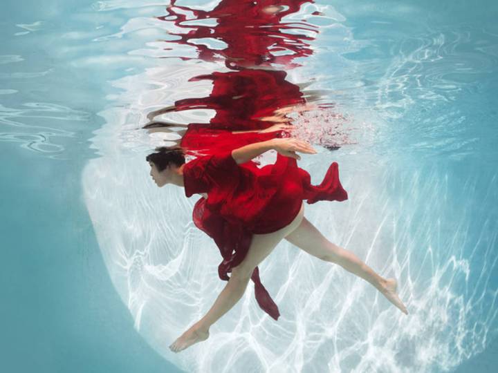 Dive Into Ed Freeman's Wet and Wondrous World