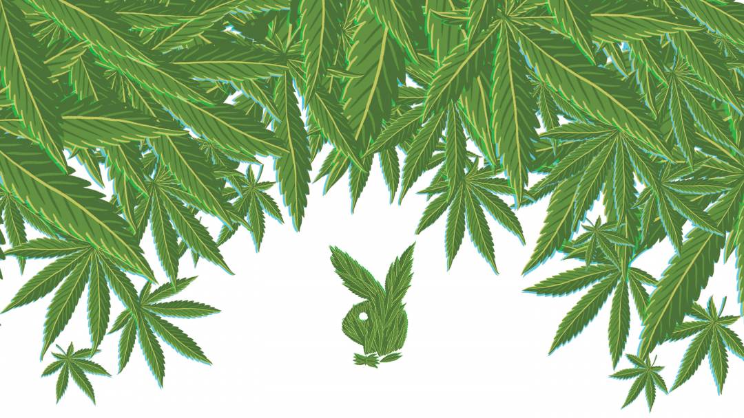 On Playboy's History as a Weed Warrior