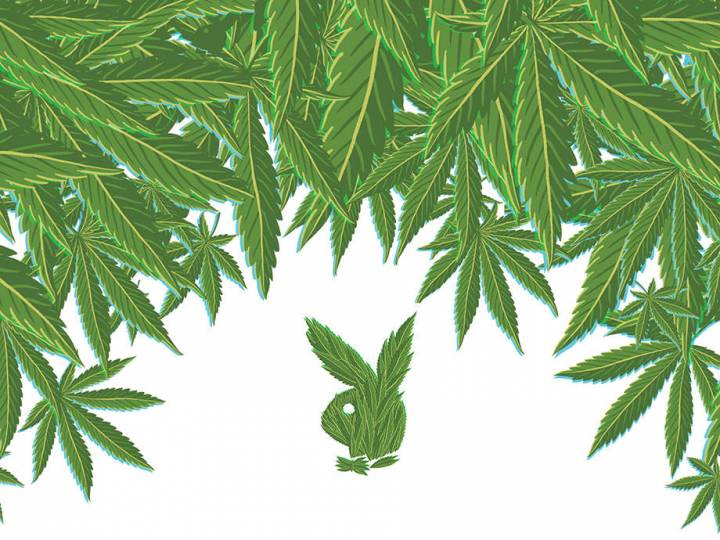 On Playboy's History as a Weed Warrior