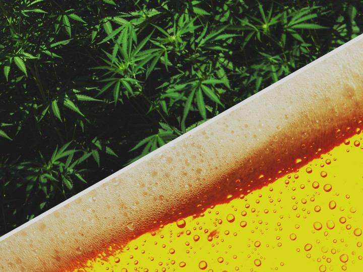 Can Cannabis Ever Disrupt the Alcohol Industry?