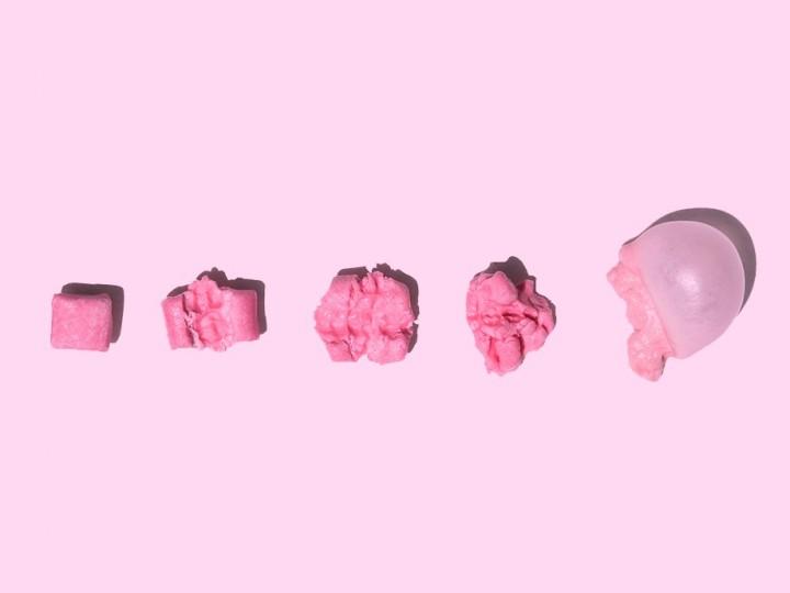 The New Ideological War Against Evolution Has Nothing to Do With Religion