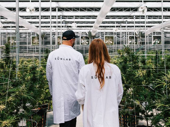Dank Rebel: Inside the Stunning World of a Canadian Cannabis Entrepreneur