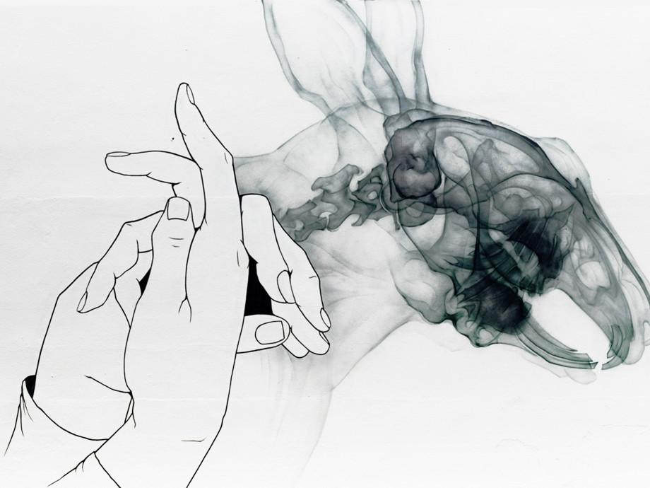 Aerosol X-Ray Art: Where Art and Science Meet