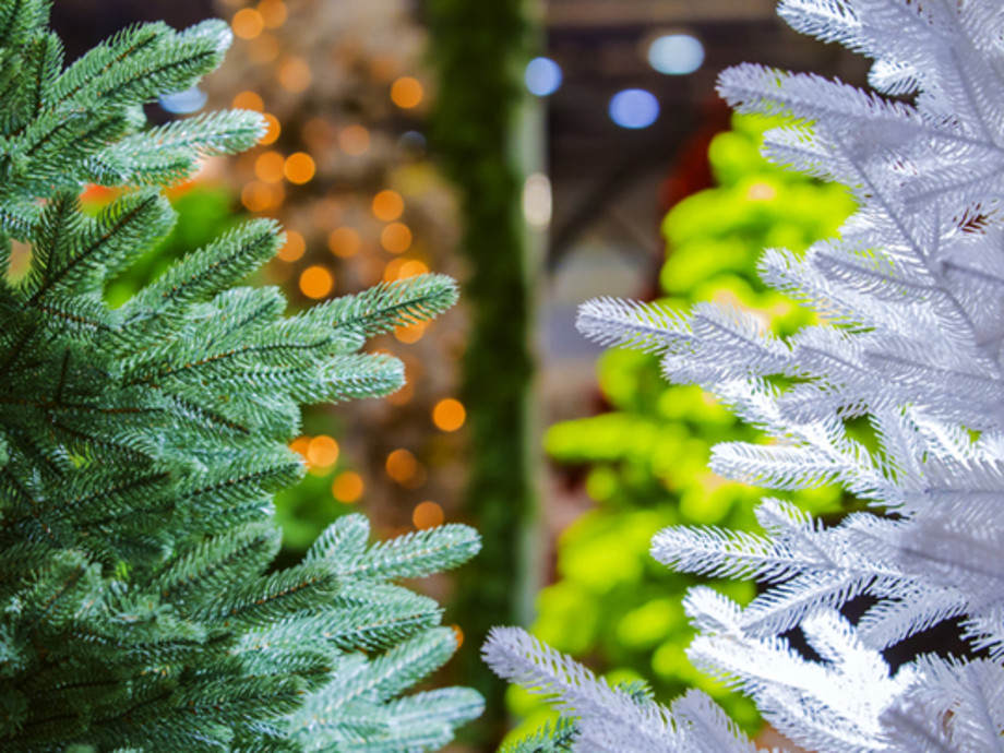 Fake or Fir? A Look at How the Christmas Tree Industry Impacts Our Environment