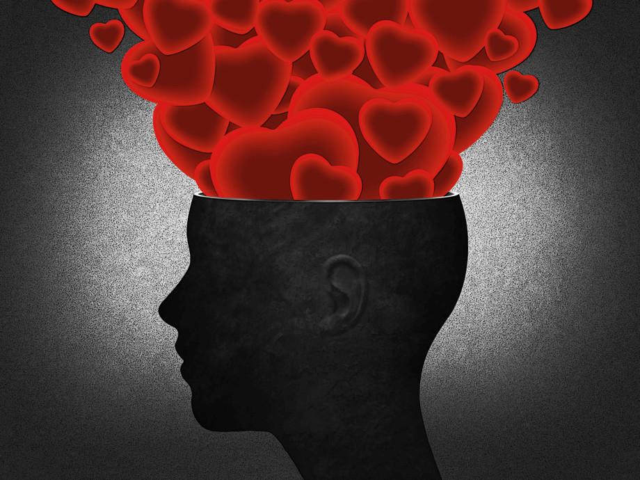 This Is Your Brain on Love